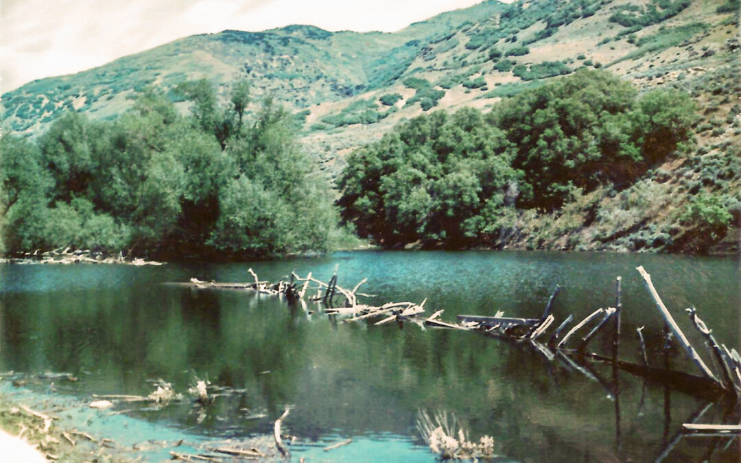 Harvey Pond